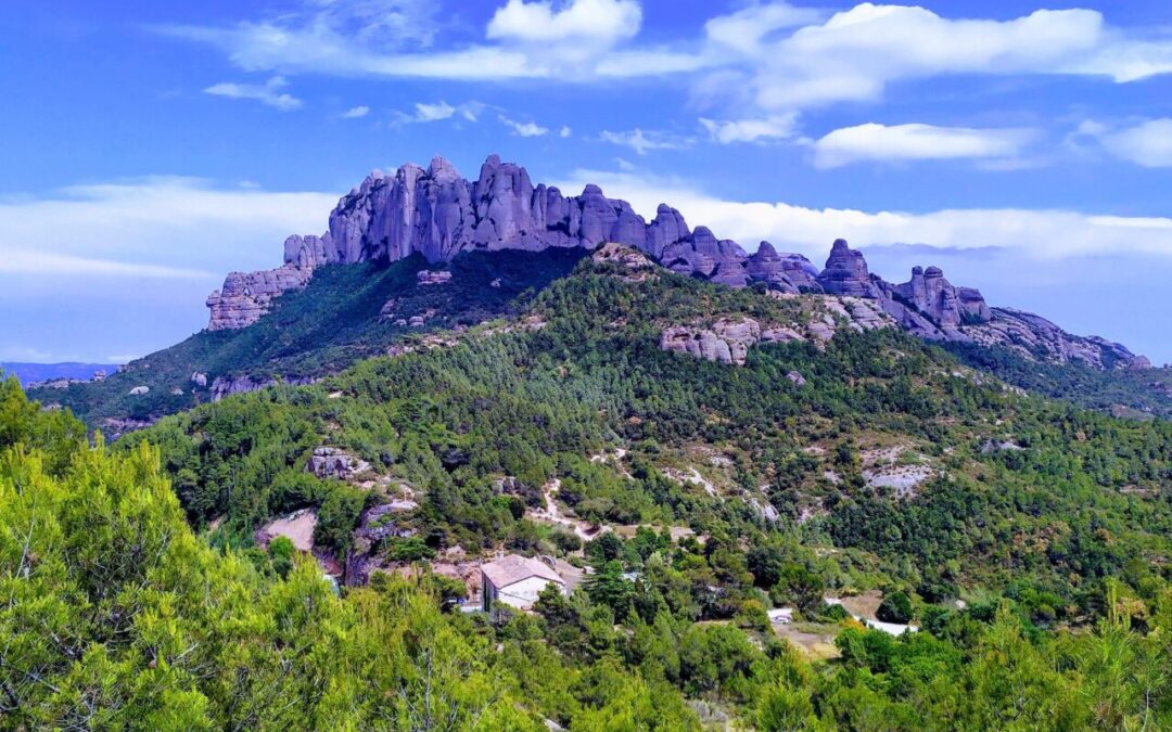 Encuentro del Grupo Cavall Bernat 2025 en Collbató